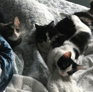 Meet your Posher, Sarah